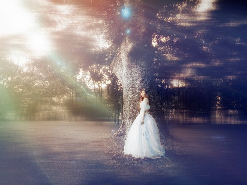 Woman in White Dress — Serene, Sunset, Photograph, Tree, Forest, Sunlight