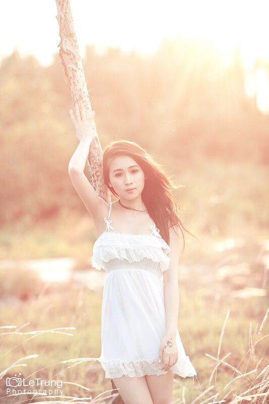 Woman in White Dress — Serene, Sunset, Photograph, Tree, Grass, Sunlight