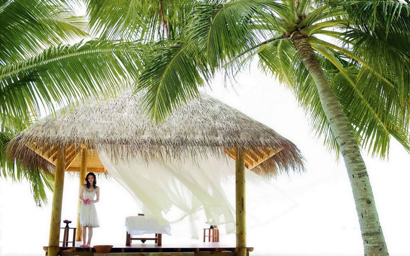 Woman in white dress under palm tree