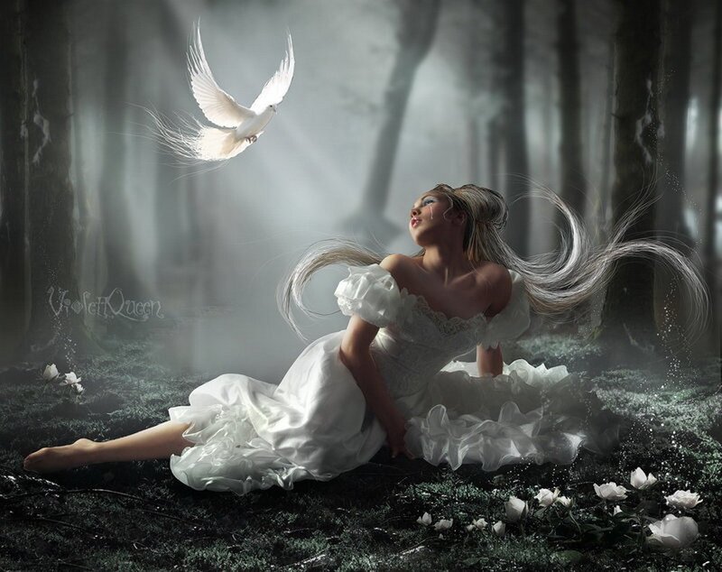 woman in white dress with dove