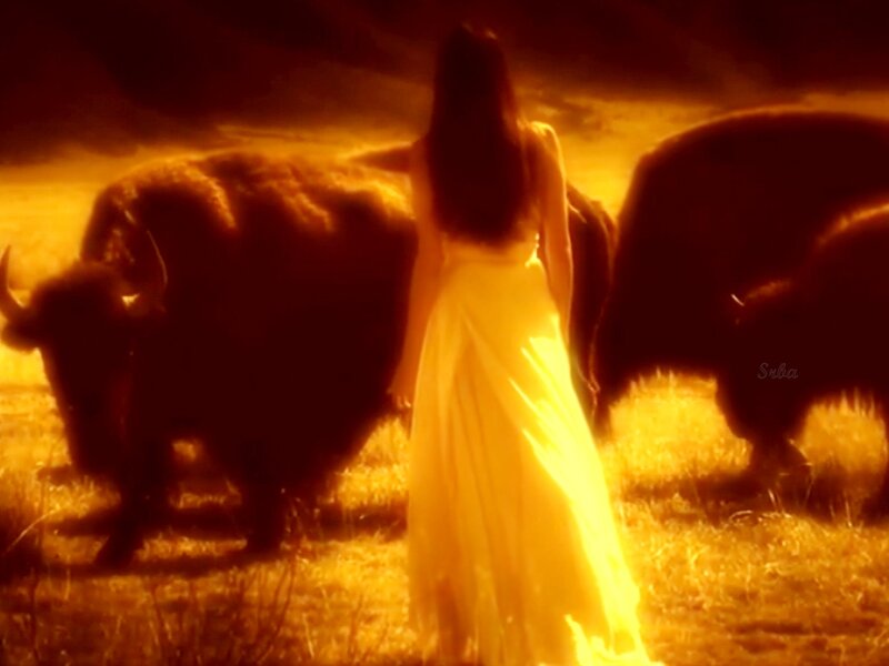 Woman in White Dress — Yellow, Dramatic, Sunset, Photograph, Bison