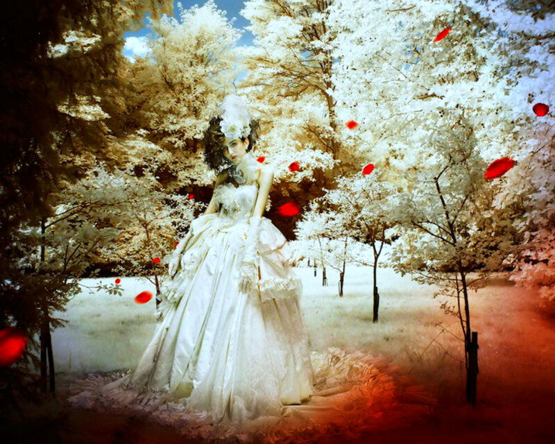 Woman in White Gown — Dreamy, Digital Art, Trees
