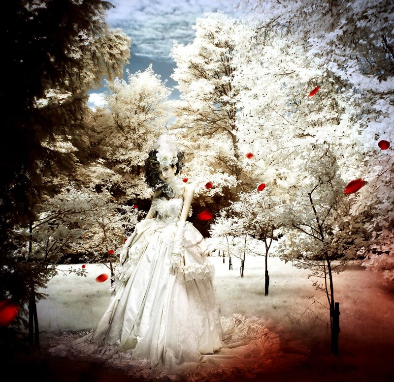 woman in white gown in forest