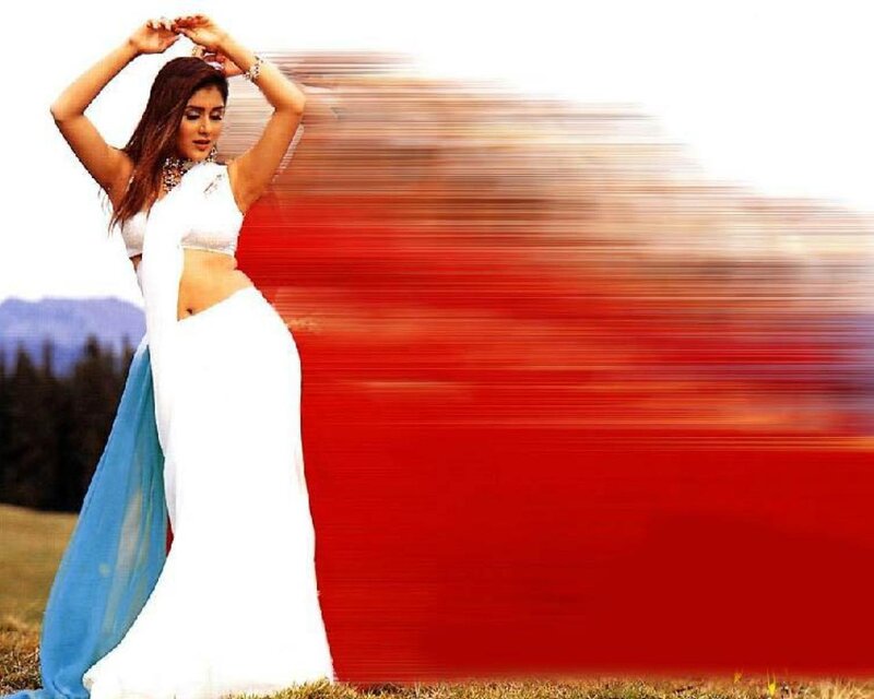 Woman in White Sari — Dynamic