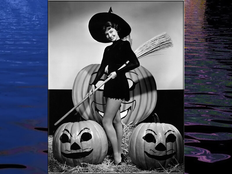 Woman in Witch Costume — Black, Festive, Photograph
