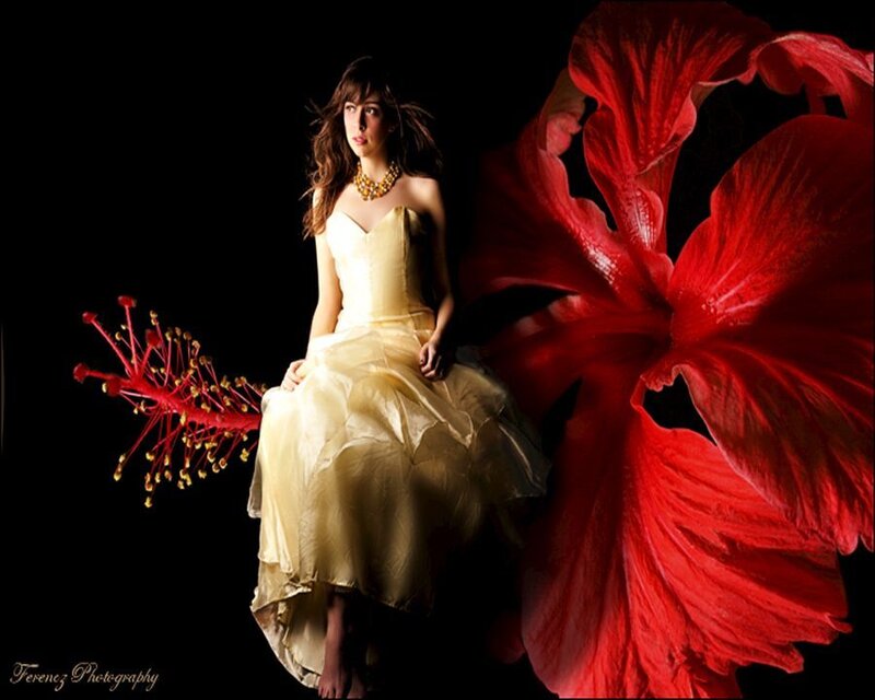 Woman in Yellow Dress — Dramatic, Photograph, Red Flower