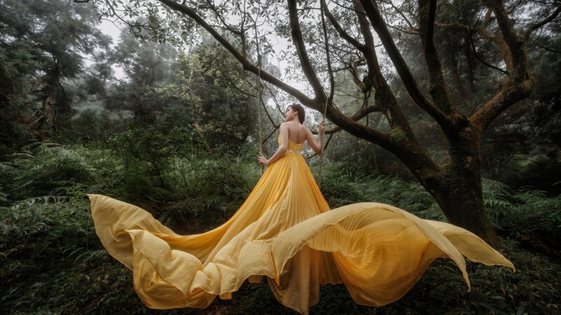 Woman in Yellow Dress — Serene, Photograph, Swing
