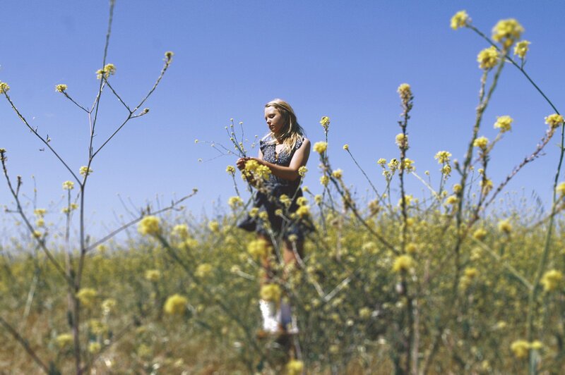 Woman in Yellow Field — Serene, Afternoon, Photograph, Yellow Flowers, Blue Sky, Blue
