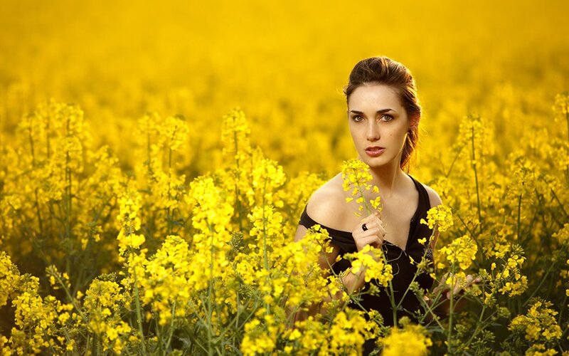 woman in yellow flower field