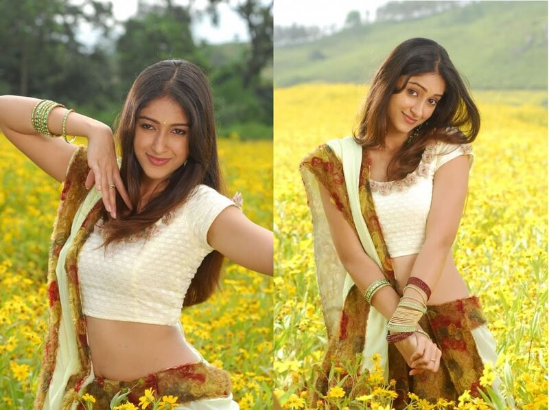 woman in yellow flower field