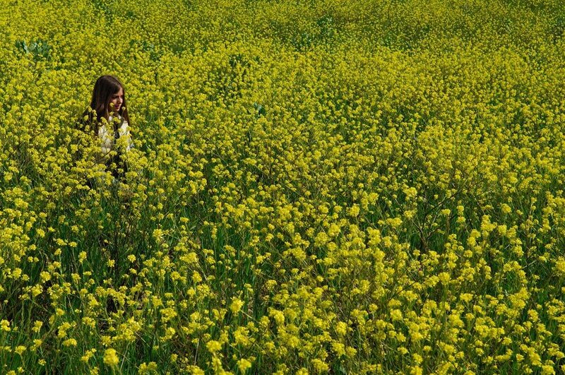 Woman in Yellow Flowers