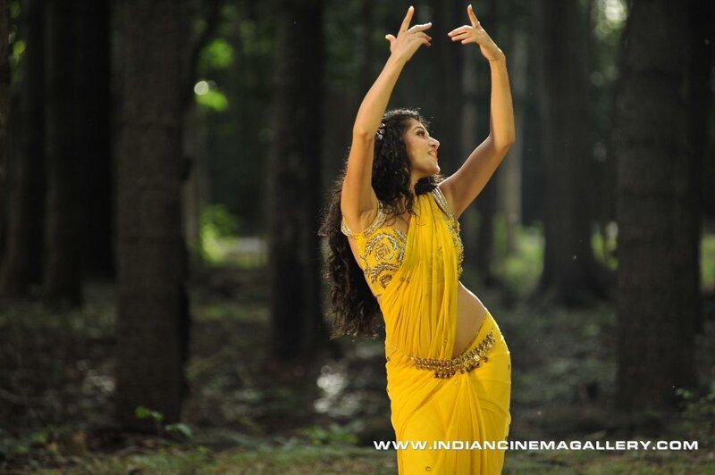 Woman in Yellow Sari — Serene, Afternoon, Photograph