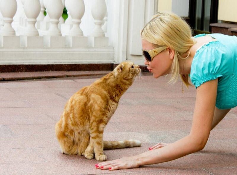 Woman kissing a cat
