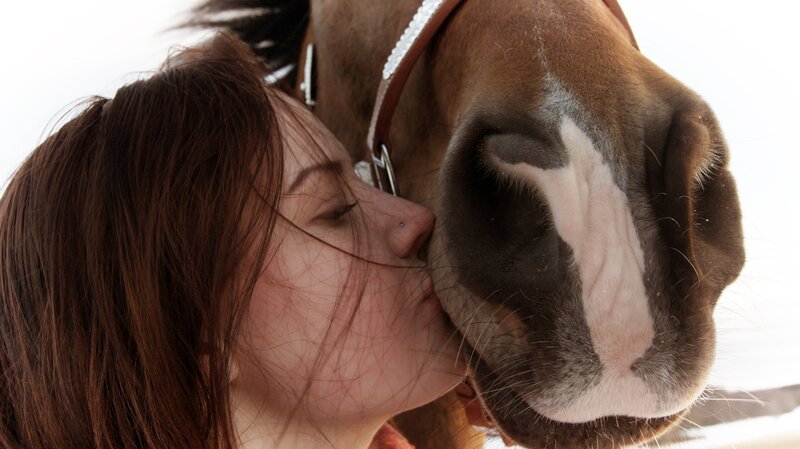woman kissing a horse