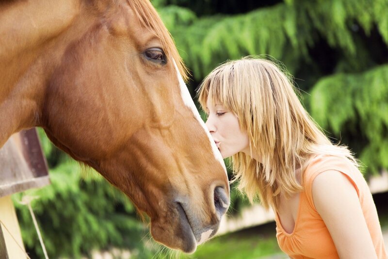 woman kissing a horse