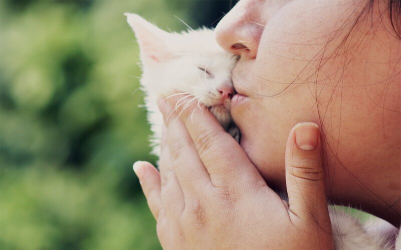 woman kissing a kitten