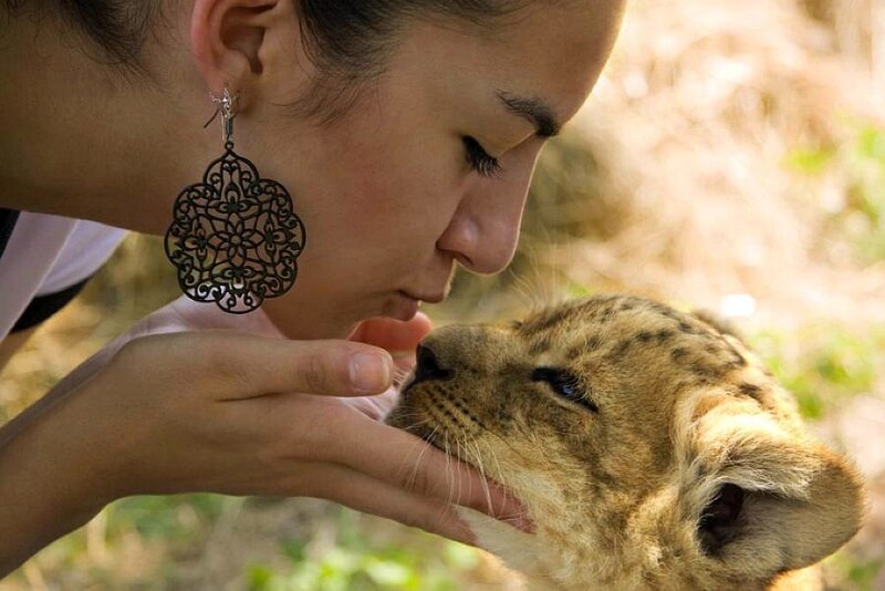Woman kissing a lion cub