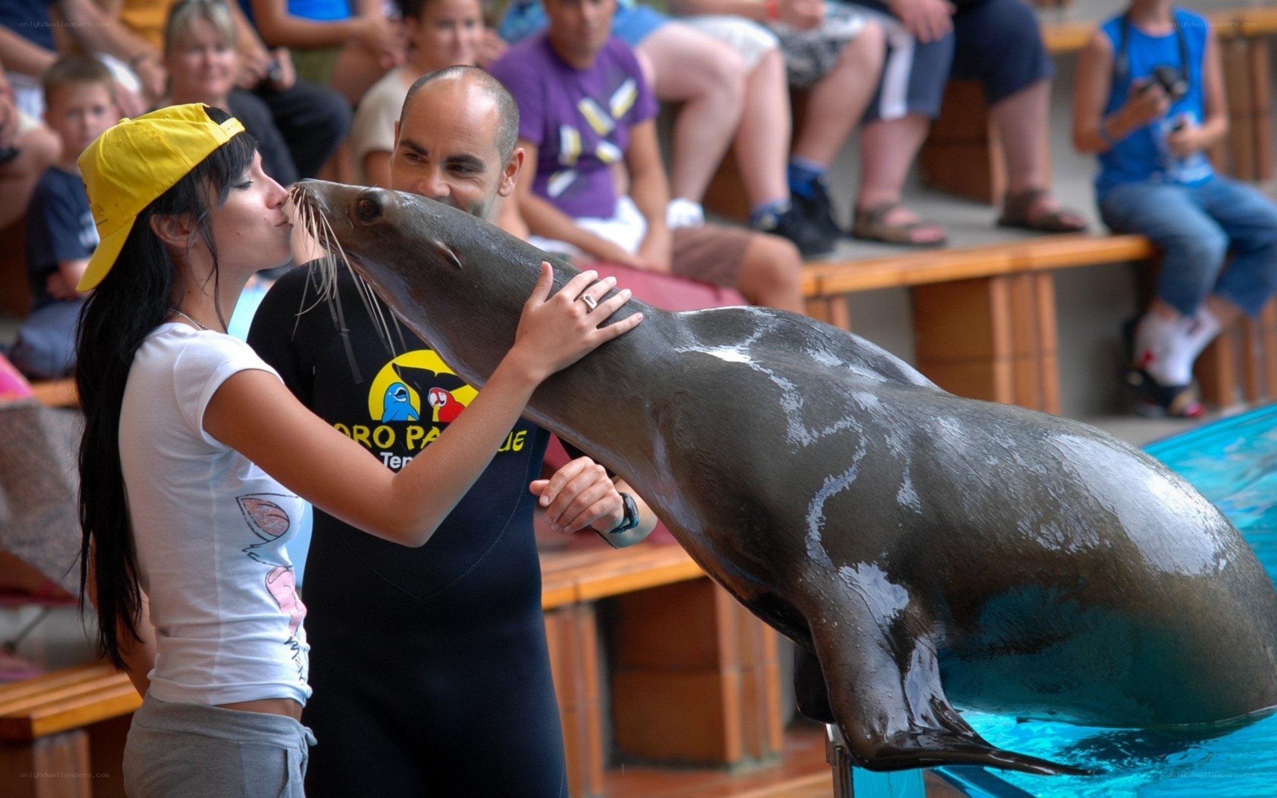 Woman kissing a sea lion