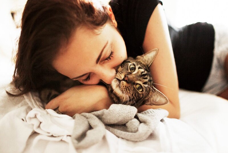 woman kissing cat on bed