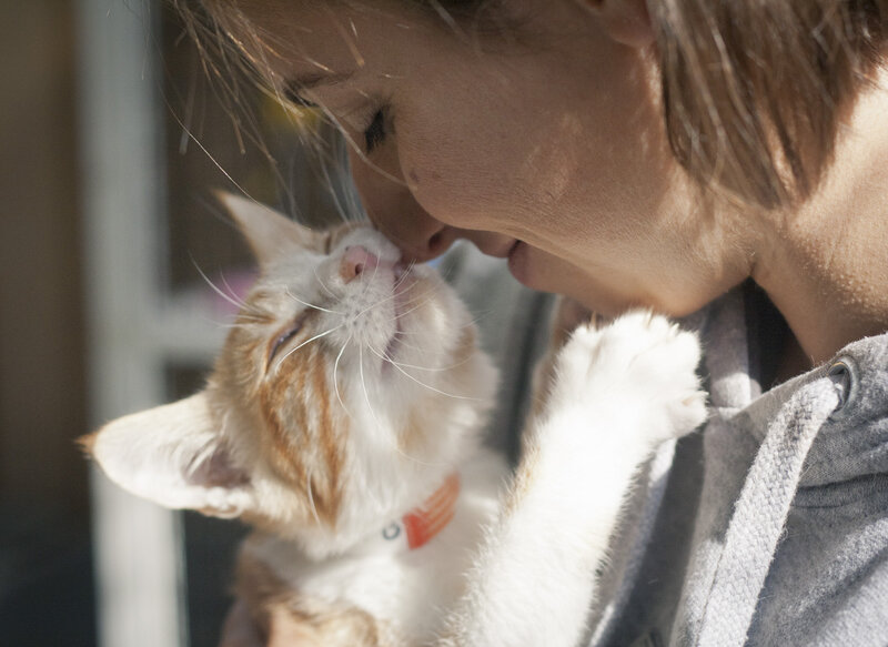 Woman Kissing Cat — White