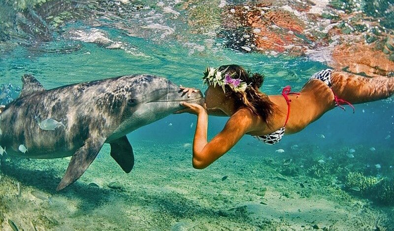 Woman Kissing Dolphin