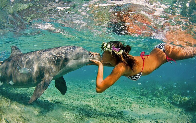 woman kissing dolphin underwater