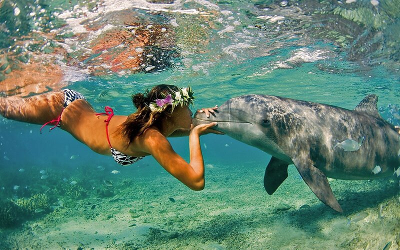 woman kissing dolphin underwater