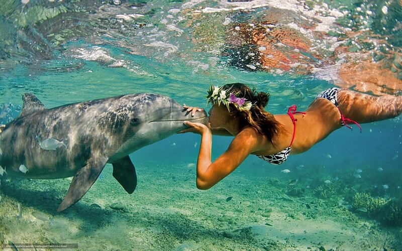 Woman kissing dolphin underwater