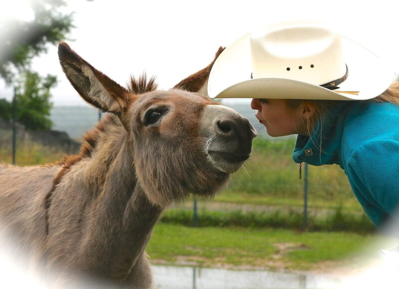 Woman Kissing Donkey