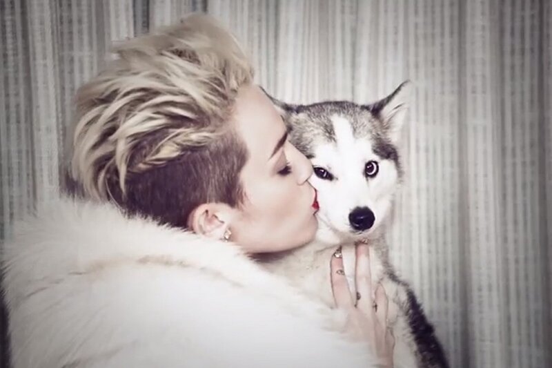 Woman Kissing Husky