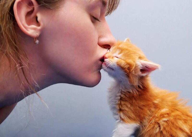Woman Kissing Kitten