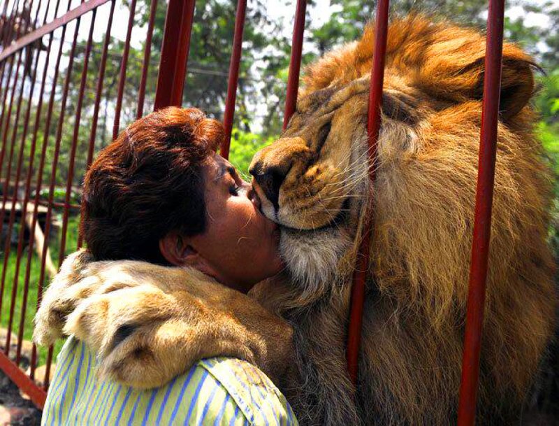 Woman Kissing Lion