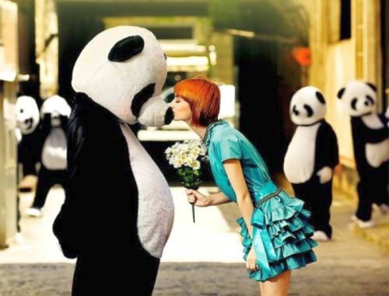 woman kissing panda costume