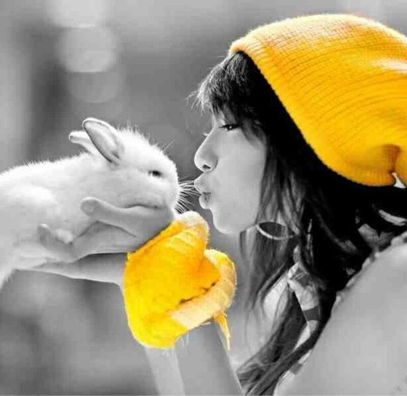 Woman Kissing Rabbit