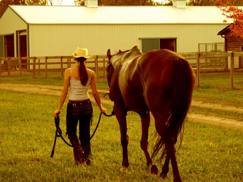 Woman Leading a Horse
