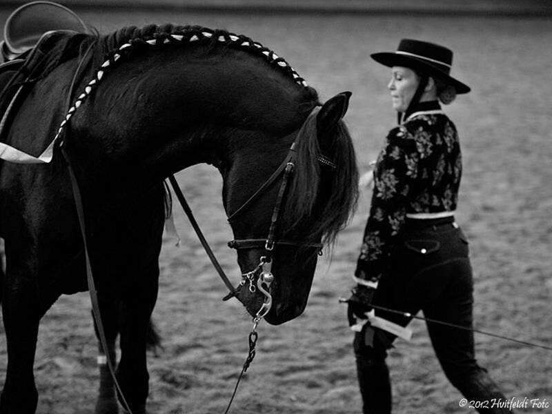 Woman Leading Black Horse