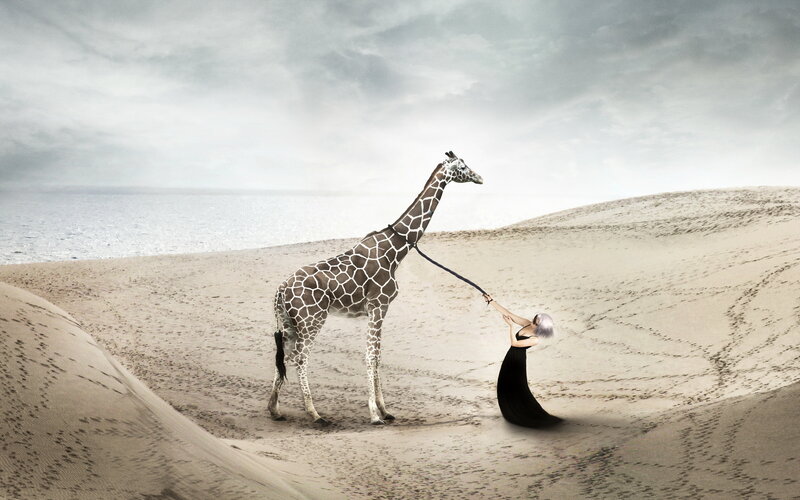Woman Leading Giraffe — Brown
