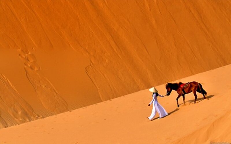 Woman Leading Horse — Orange