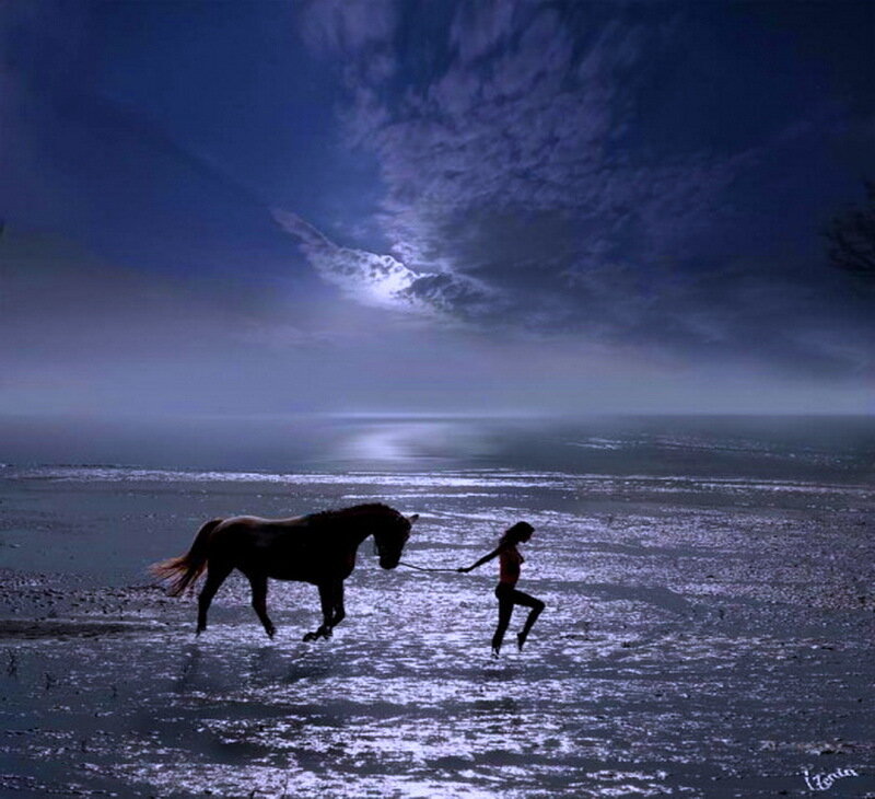 Woman Leading Horse