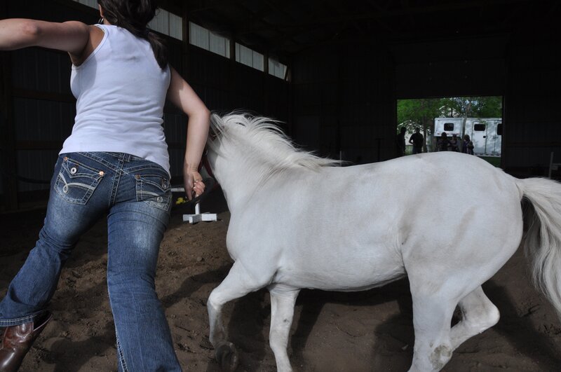 Woman Leading White Horse