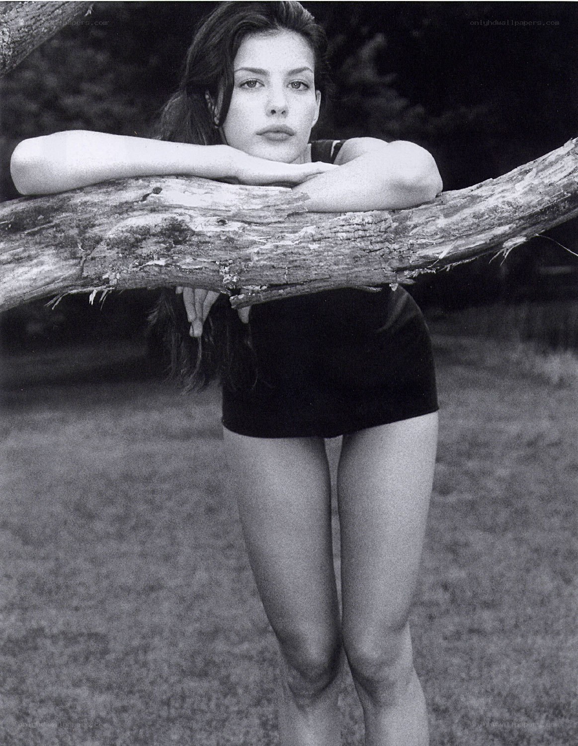 woman leaning on tree branch