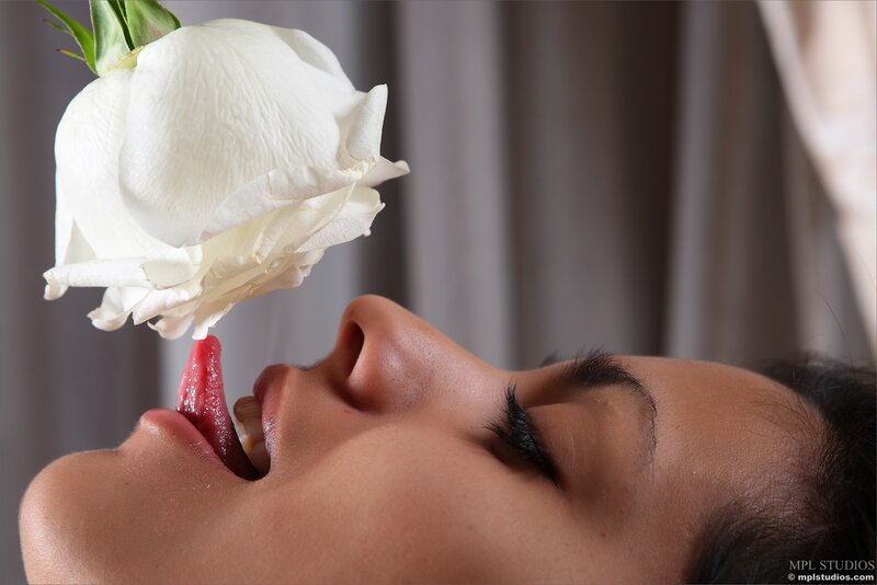 woman licking white rose