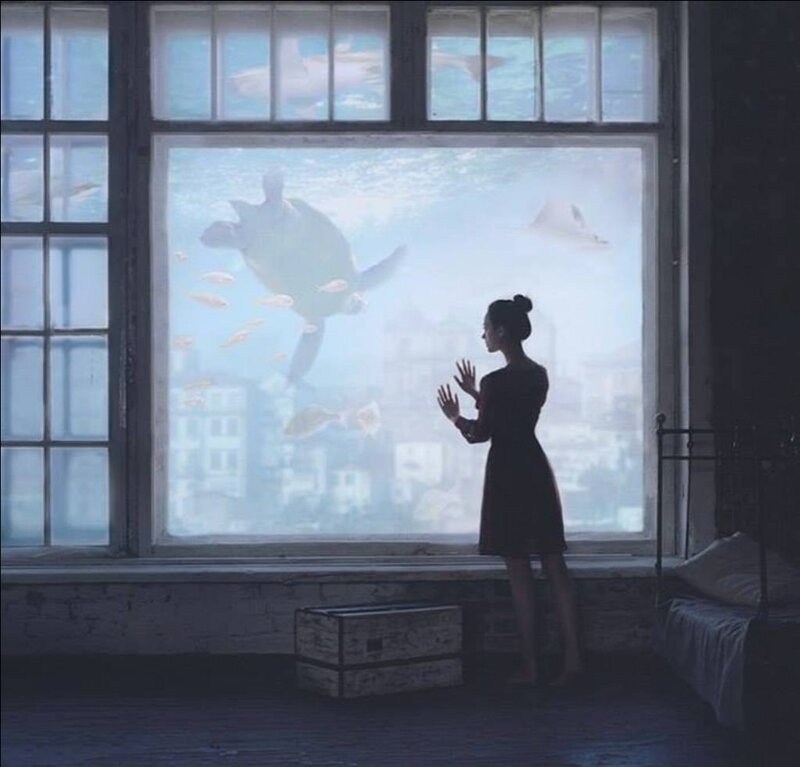 Woman Looking at Sea Life