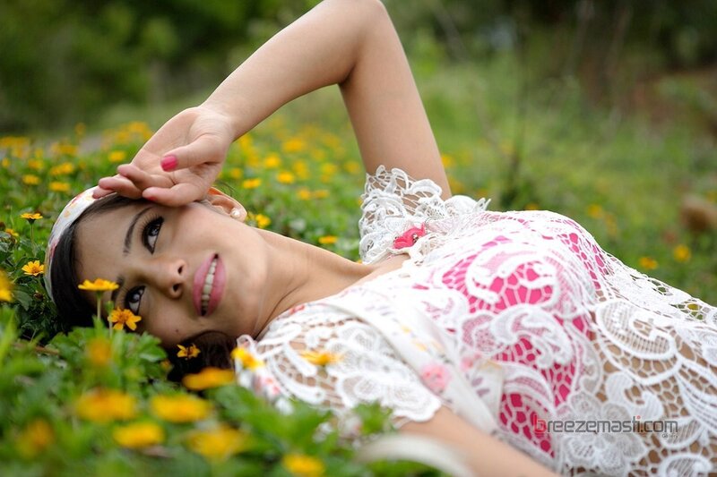 woman lying in a flower field
