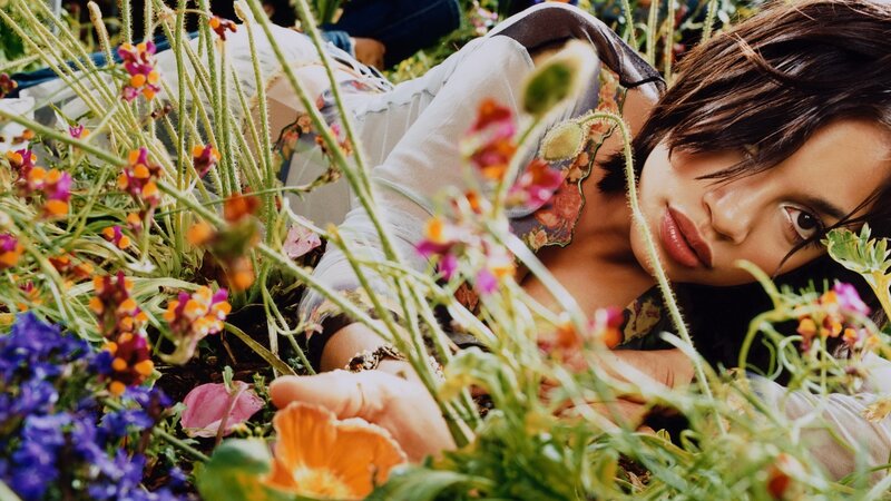 woman lying in a flower garden