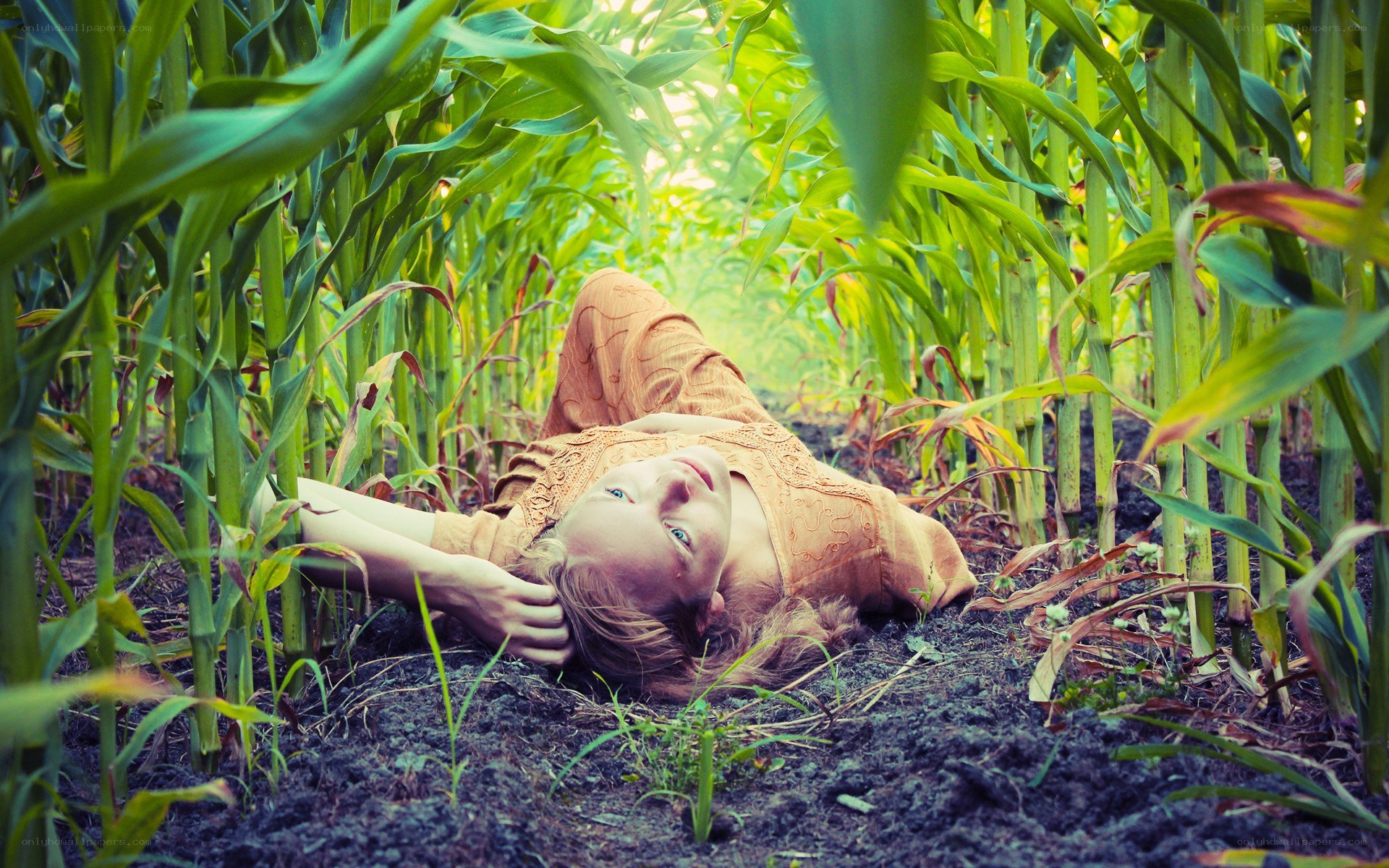 woman lying in cornfield
