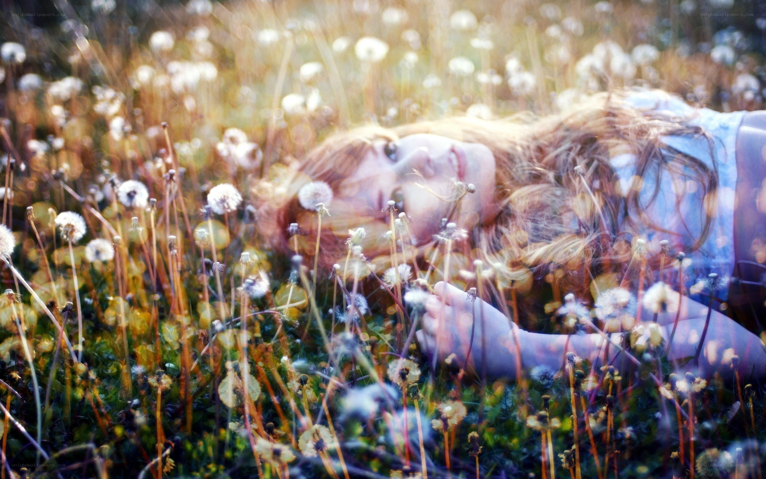 Woman lying in dandelion field