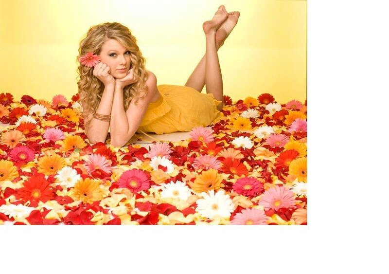 woman lying in flowers