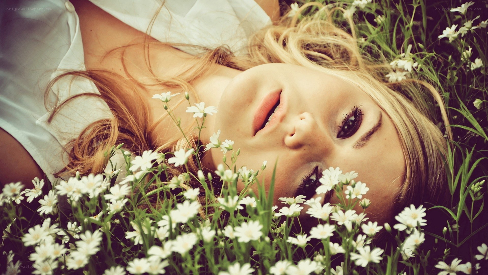 woman lying in flowers