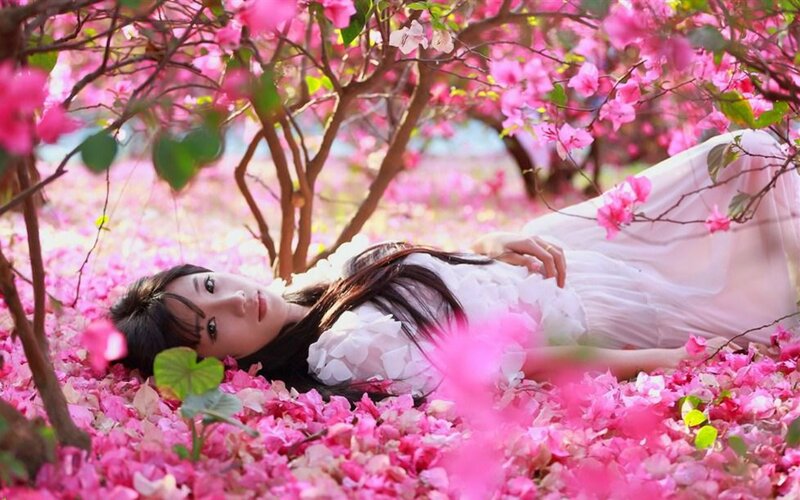 Woman Lying in Flowers — Pink, Serene, Spring, Photograph, Tree